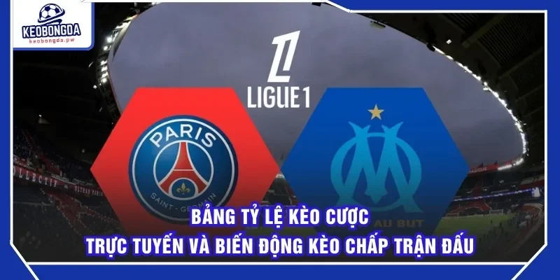 Bảng tỷ lệ kèo cược trực tuyến và biến động kèo chấp trận đấu
