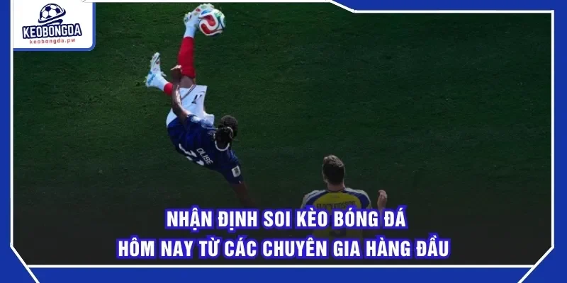 Nhận định Soi kèo bóng đá hôm nay từ các chuyên gia hàng đầu