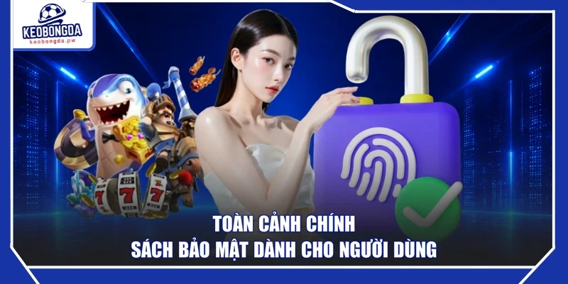 Toàn cảnh chính sách bảo mật dành cho người dùng