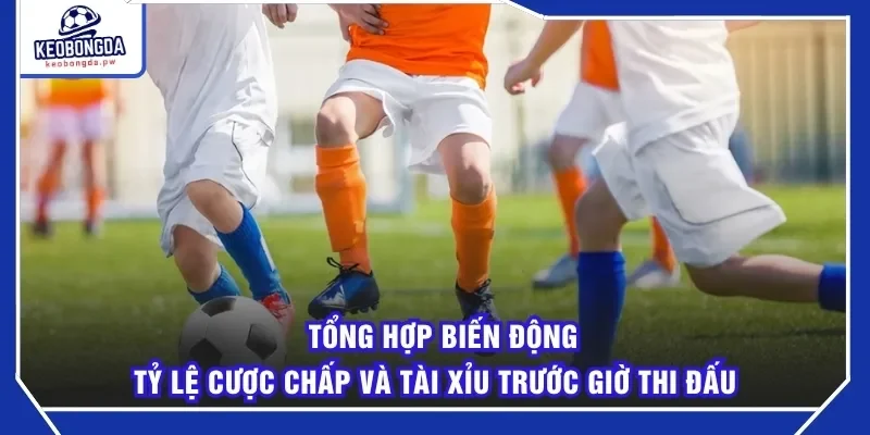 Tổng hợp biến động tỷ lệ cược chấp và tài xỉu trước giờ thi đấu