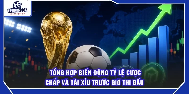 Tổng hợp biến động tỷ lệ cược chấp và tài xỉu trước giờ thi đấu