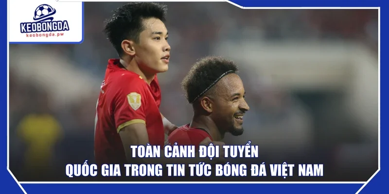 Toàn cảnh đội tuyển quốc gia trong tin tức bóng đá Việt Nam 